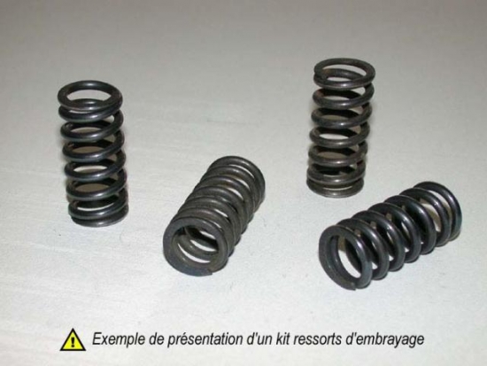 501-24-04 Tecnium Barnett Kupplungsfedern-Kit verstrkt Quad / ATV fr Honda ATC TRX 250 Fourtrax